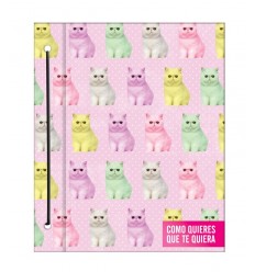 [34547] CARPETA MONITOR CARTONE  COMO QUIERES QUE TE QUIERA