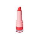 LABIAL VARIOS COLORES MATTE