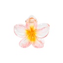 PINZA CHICA FLOR CENTRO COLOR