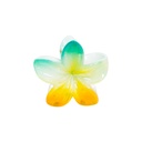 PINZA CHICA FLOR CENTRO COLOR