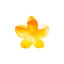 PINZA CHICA FLOR CENTRO COLOR
