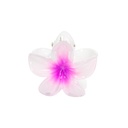 PINZA CHICA FLOR CENTRO COLOR
