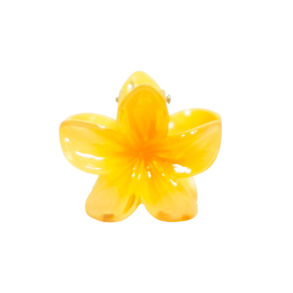 PINZA CHICA FLOR CENTRO COLOR