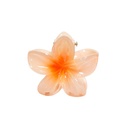 PINZA CHICA FLOR CENTRO COLOR