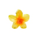 PINZA CHICA FLOR CENTRO COLOR