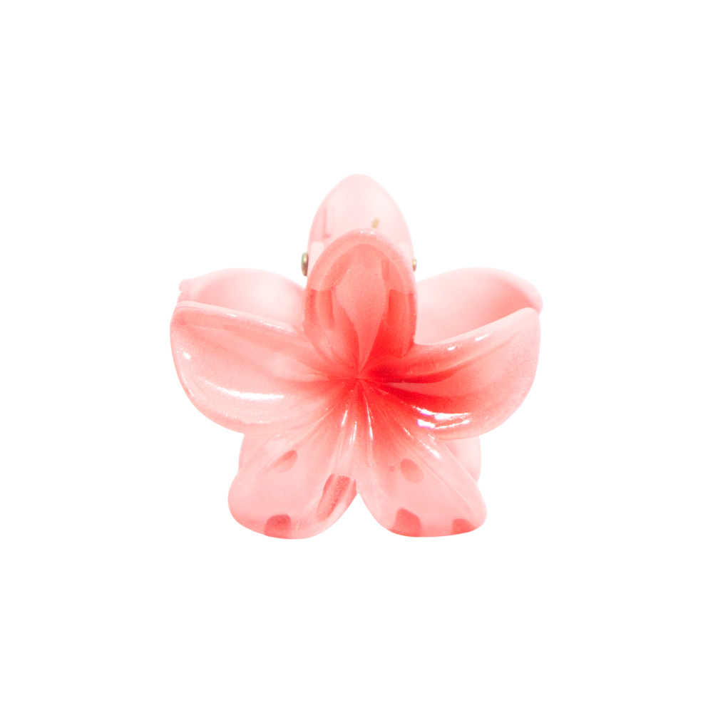 PINZA CHICA FLOR CENTRO COLOR