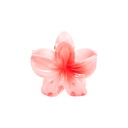 PINZA CHICA FLOR CENTRO COLOR