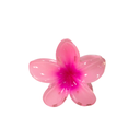 BROCHE FLOR HAWUAIANA