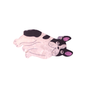 BROCHE MASCOTAS