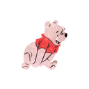 BROCHE MASCOTAS