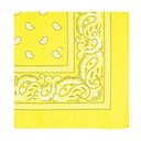 BANDANA 50X50