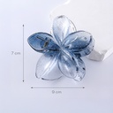 BROCHE