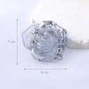 BROCHE