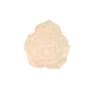 BROCHE