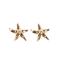 AROS ESTRELLA DE MAR