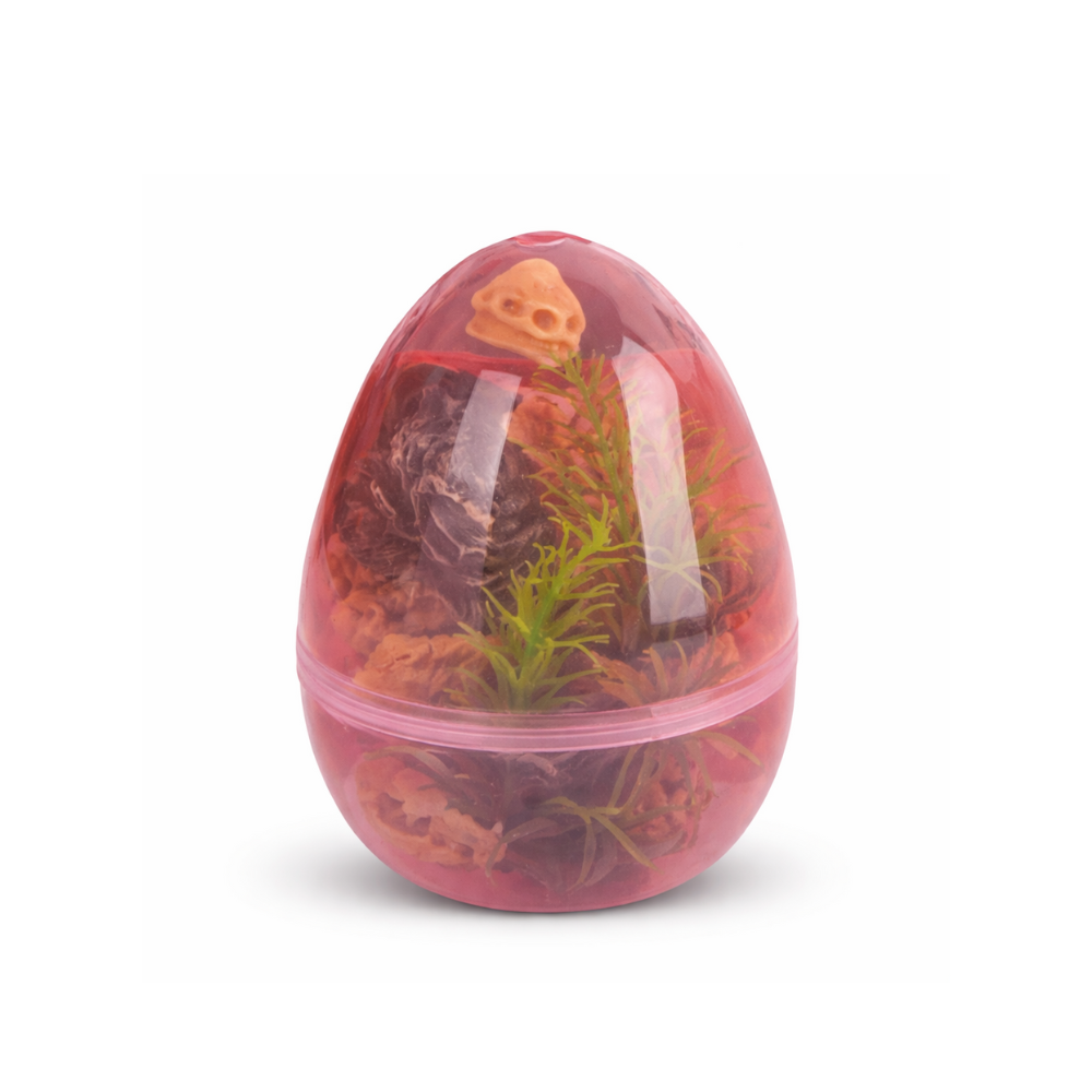HUEVO TRANSPARENTE DE DINOSAURIO