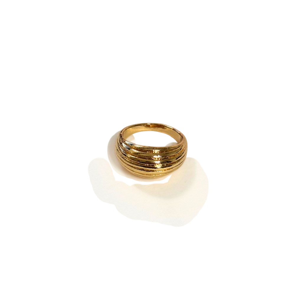 ANILLO INFLADO DISEÑOS VARIOS