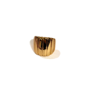 ANILLO INFLADO DISEÑOS SURTIDOS
