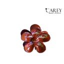PINZA 5 PETALOS IRISADO