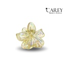 PINZA HAWAIANA TRANSPARENTE IRISADO