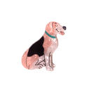 BROCHE MASCOTAS