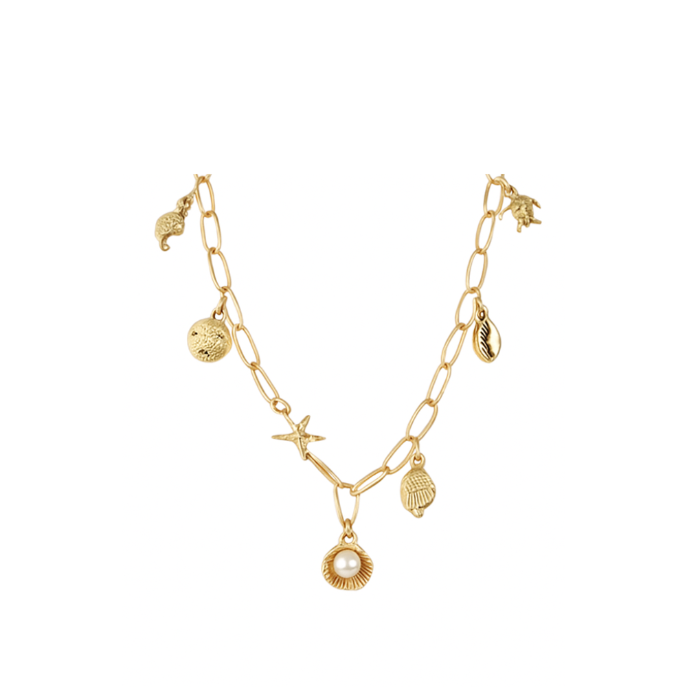 COLLAR CADENA ANCHA MULTIDIJE MAR