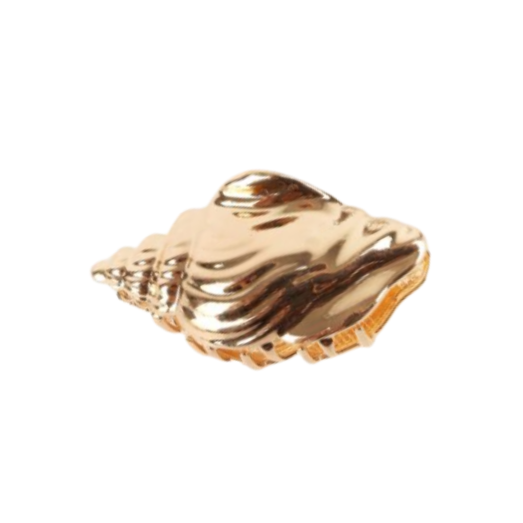 BROCHE PINZA METALICA FORMA DE OSTRA