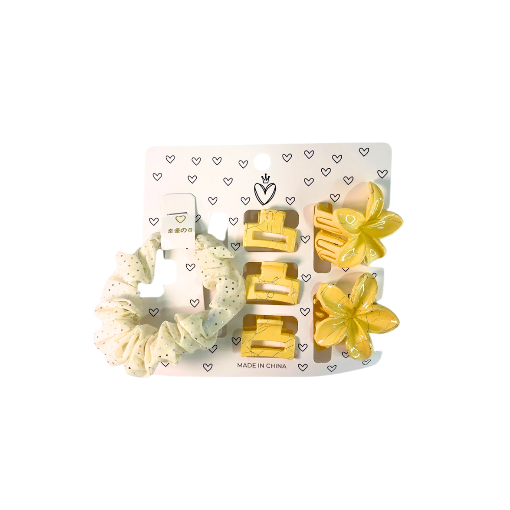 SET DE PELO COLERO + BROCHE SURTIDO