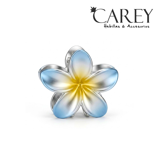[52602] BROCHE PINZA HAWAIANA ARGENTINA