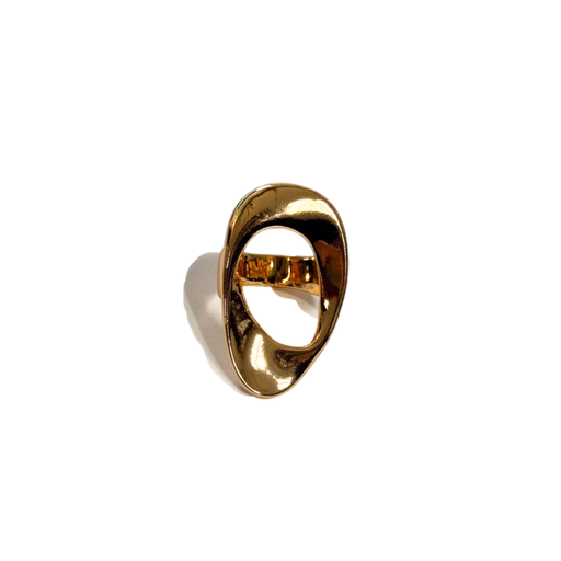 ANILLO INFLADO DISEÑOS SURTIDOS